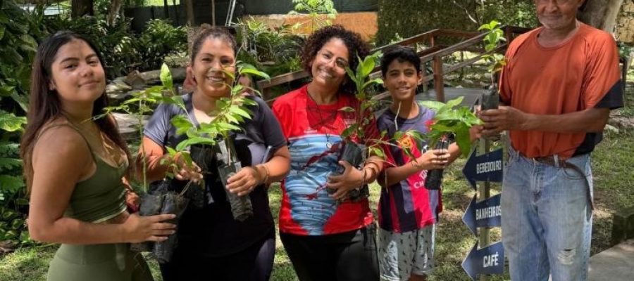 Museu promove dia do meio ambiente com doação de mudas, oficinas e programação para toda a família