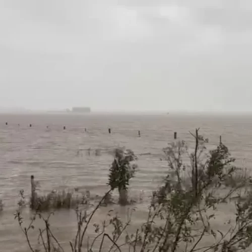 DESASTRE AMBIENTAL: Lavouras de trigo, canola e aveia da região central gaúcha estão submersas, diz Emater