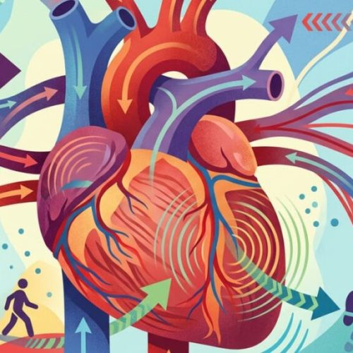 Quantos minutos por dia de caminhada são suficientes para proteger o coração de verdade?