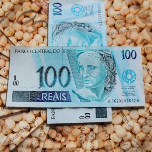 ANO SAFRA: Limite de enquadramento no Proagro é reduzido para R$ 200 mil