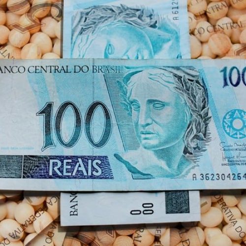 Soja: mercado apreensivo pelos números do USDA; veja as cotações