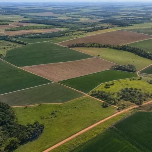 ATENÇÃO PRODUTOR RIRAL: ITR 2026 começa com mudanças; erro no cadastro pode travar declaração de imóvel rural
