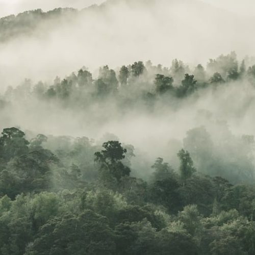 Frente fria deve trazer geada para áreas de serra; veja a previsão