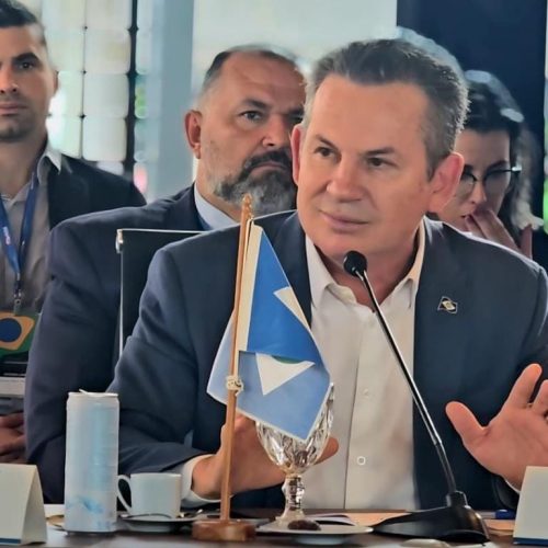 "o Brasil não vai salvar o planeta sozinho"
