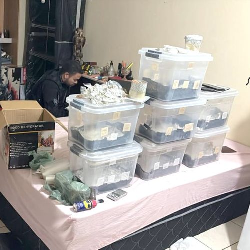 RONDONOPOLIS: Operação Hidra | Panes na rodovia | Vagas de estágio | Balanço carnaval | Carreta com soja pega fogo