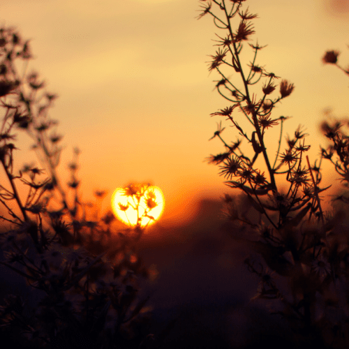Previsão do tempo em Mato Grosso: Fim de semana de calor extremo com picos de 40° em Rondonópolis e chuvas isoladas em Cuiabá