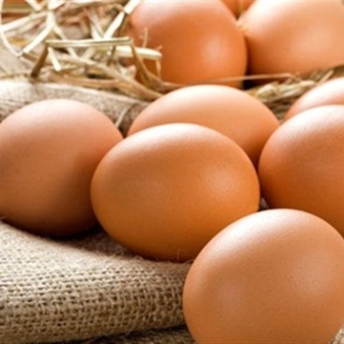 Novas regras para rotulagem de ovos dividem opiniões