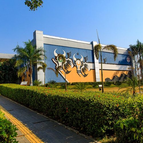 Governo de MT vai mostrar como aliar produção de alimentos e preservação ambiental na COP 30