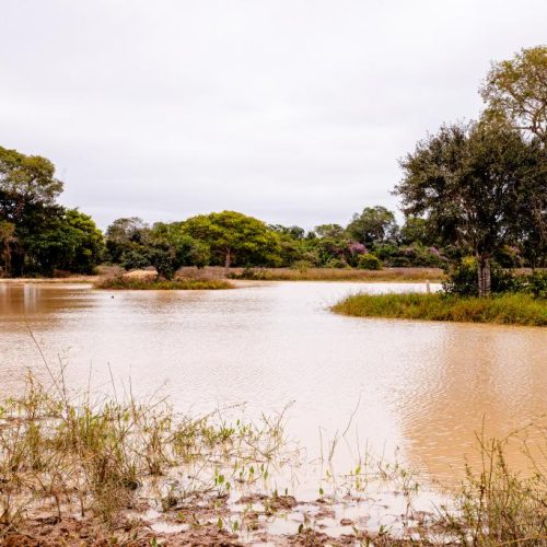 PESCA: Período de defeso da Piracema será entre 1º de outubro de 2026 e 31 de janeiro de 2027 em MT