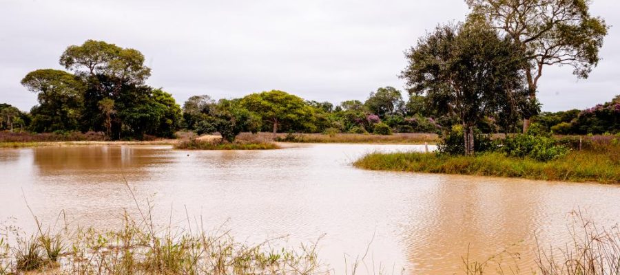 PESCA: Período de defeso da Piracema será entre 1º de outubro de 2026 e 31 de janeiro de 2027 em MT