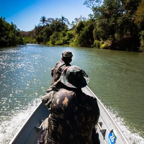 Sorriso: Homem cai em golpe enquanto tentava emitir carteira de pescador amador