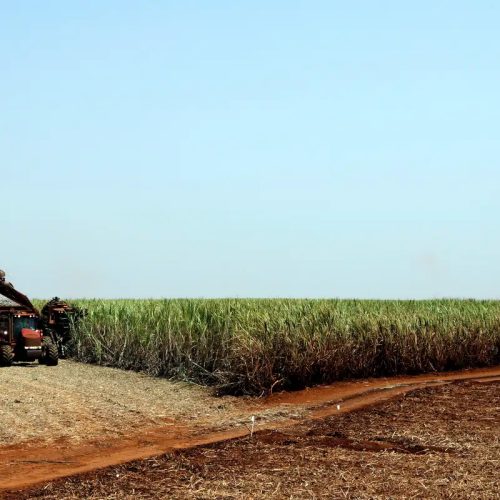 IBGE prevê safra recorde de 346 milhões de toneladas em 2025