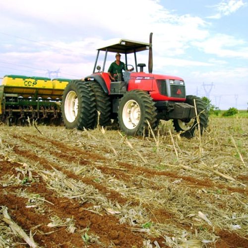 Dilema no campo com o super El Niño