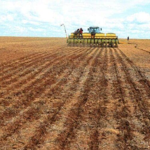 Indea destaca início do plantio da soja em Lucas do Rio Verde após sucesso do vazio sanitário