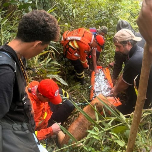 EM PONTES E LACERDA: Bombeiros resgatam mulher com vida após vários dias perdida em área de mata