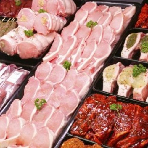 Brasil bate recorde histórico na produção de carnes e ovos em 2024