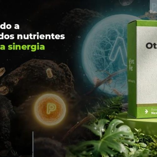 Biossolução sinérgica chega ao Brasil para maximizar uso de fertilizantes e aumentar a rentabilidade das culturas de soja e milho