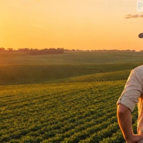 Quanto a sua fazenda aguenta pagar de arrendamento antes de entrar no vermelho?