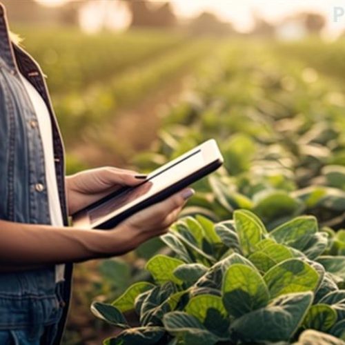 Mais que tendência: a revolução dos adjuvantes e o protagonismo dos biológicos na proteção de cultivos