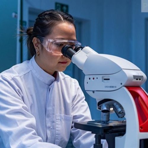 Inovação contínua fortalece a saúde animal e a competitividade brasileira