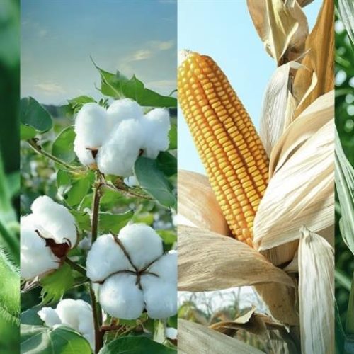 Existe uma tecnologia global que transforma os desafios do campo em produtividade