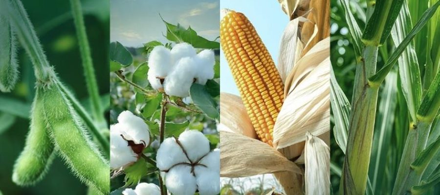 Existe uma tecnologia global que transforma os desafios do campo em produtividade