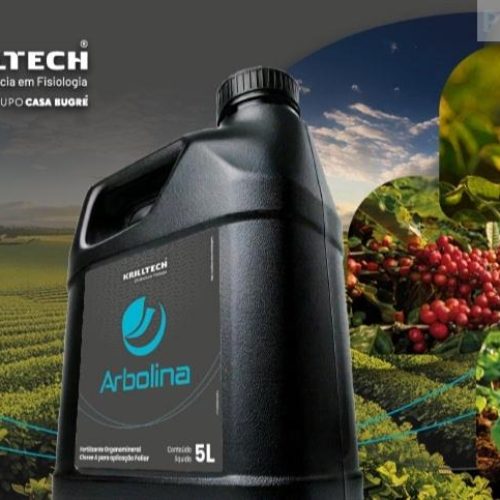 Mais retorno por hectare: tecnologia brasileira Arbolina aumenta a produtividade ao sinalizar processos fisiológicos das plantas