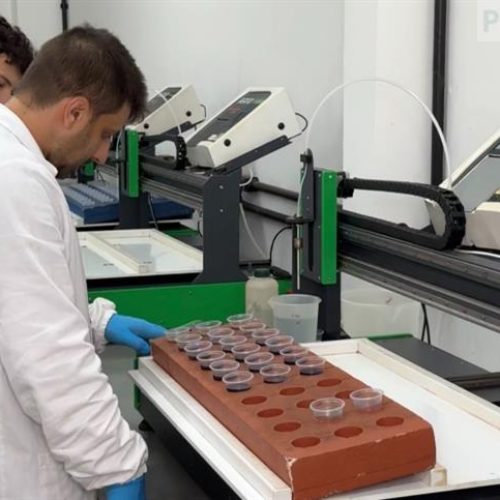 Plano de saúde do solo leva análise contínua para propriedades rurais