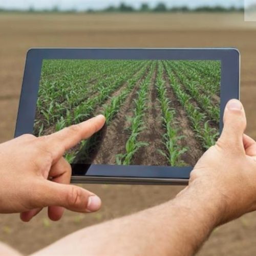 Planejamento de Safra: Quais as melhores práticas e ferramentas?