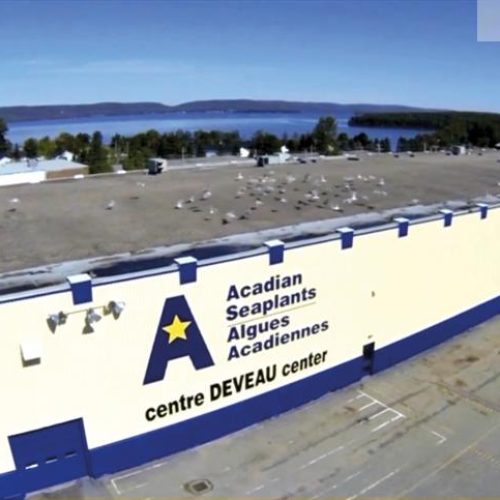 Com biotecnologia sustentável, Acadian impulsiona produtividade agrícola