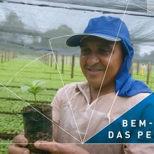 “Sabores das nossas raízes”, da Syngenta, aposta em histórias do campo para valorizar a agricultura inovadora