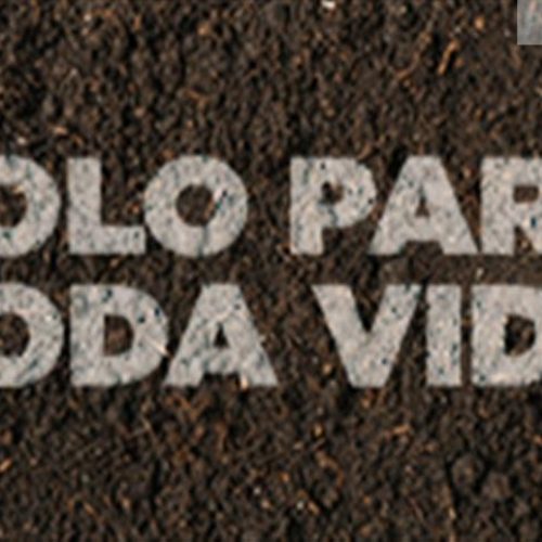 Solo para toda vida: o ecossistema integrado que une cobertura e biotecnologia