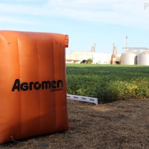 Agromen Sementes: de volta às raízes com olhar para o futuro