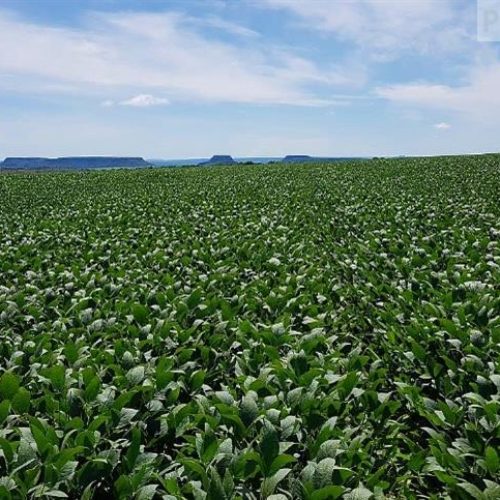 Simpósio debate manejo e sustentabilidade no campo