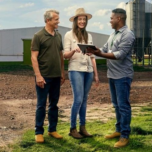 Crédito rural do Sicredi soma R$ 13,7 bilhões em São Paulo, Rio de Janeiro e Paraná