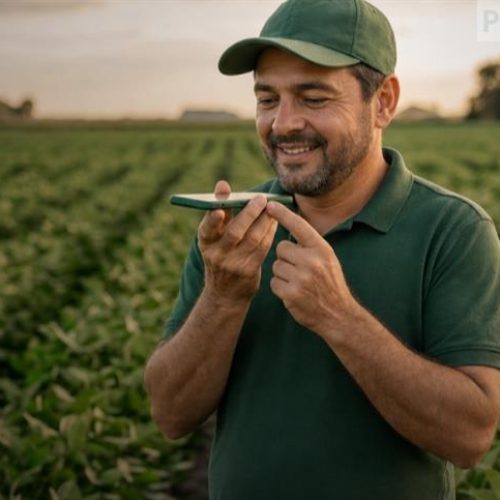 Mandou, gravou: o registro de campo que agora acontece pelo WhatsApp