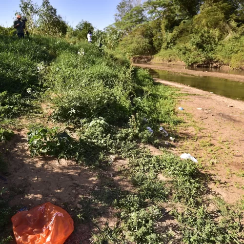 RONDONOPOLIS: Arareau em Foco: Justiça e comunidade se unem para revitalizar rio com plantio de 650 mudas e grande limpeza