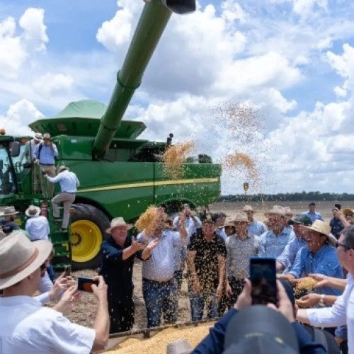 Abertura nacional da colheita da safra 24/25 destaca produção sustentável