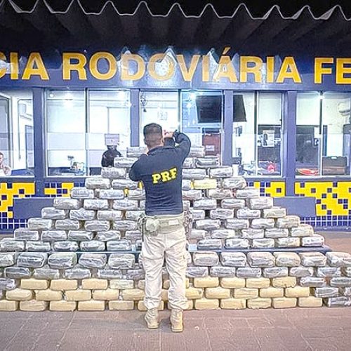 RONDONOPOLIS: Skunk apreendido | Inscrições cursos técnicos | Ponte interditada | TRT assina carta de compromisso | Inscrições encerradas