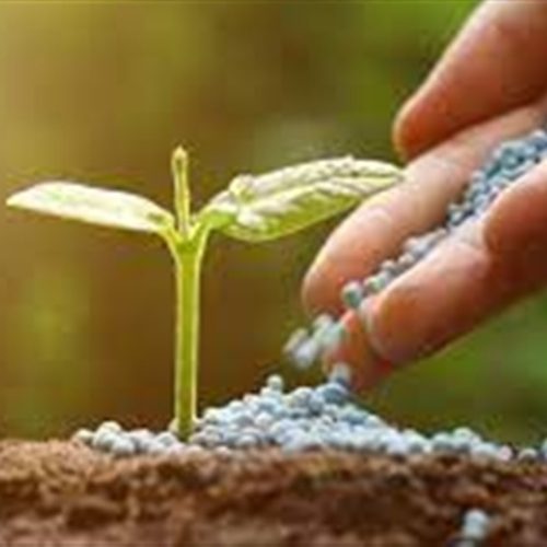 Brasil retoma tendência nas importações de fertilizantes