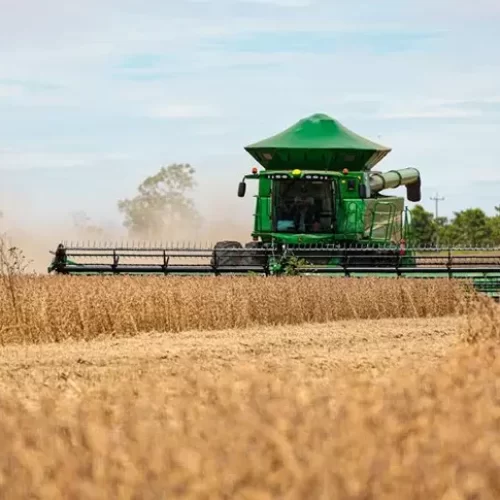 MATO GROSSO: O que faz Sorriso ser o maior produtor de soja do mundo?