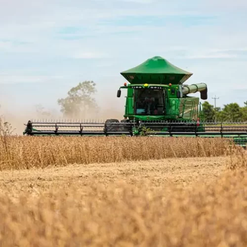 SORRISO A CAPITAL DO AGRONEGOCIO: O que faz município de MT ser o maior produtor de soja do mundo