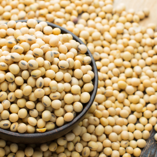 “Perspectivas para a Agropecuária” tem expectativa de novo recorde de grãos e carnes na Safra 2025/26