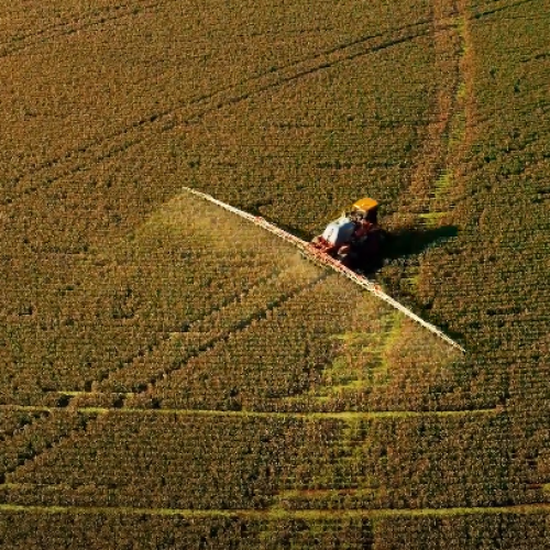 Chuvas em MT causam perdas que chegam a 50% na soja 