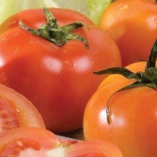 CUIABÁ-MT: Cesta básica em Cuiabá sobe 1% na terceira semana de setembro, puxada pelo tomate